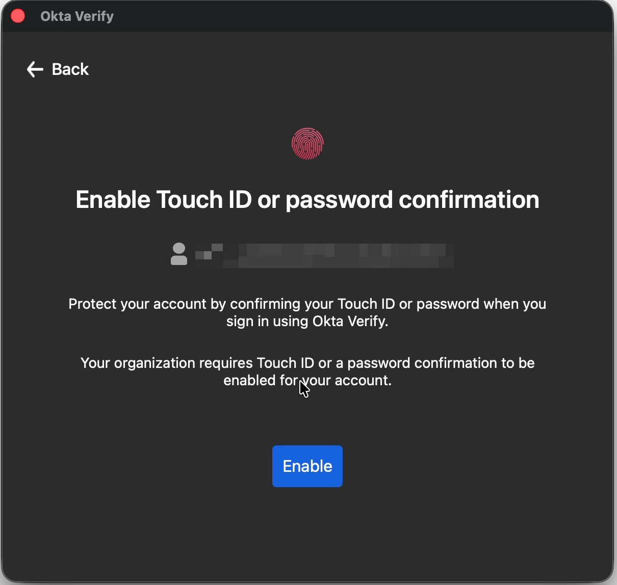 Enable Touch ID or password confirmation prompt